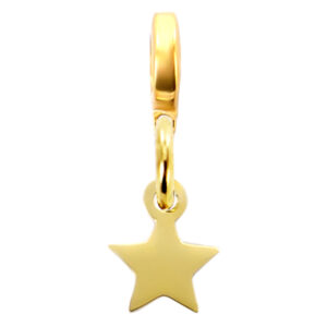 Pendentif petite étoile acier doré | Pendentif : Version e-charm's