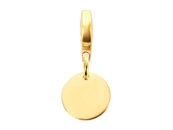 Pendentif acier doré petite médaille à personnaliser | Pendentif : Version e-charm's