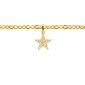 Chaîne de cheville étoile oxydes de zirconium blancs en acier inoxydable doré