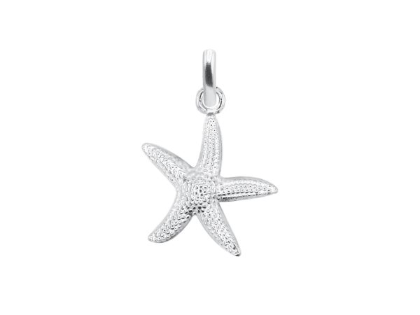Pendentif étoile de mer en acier inoxydable argenté