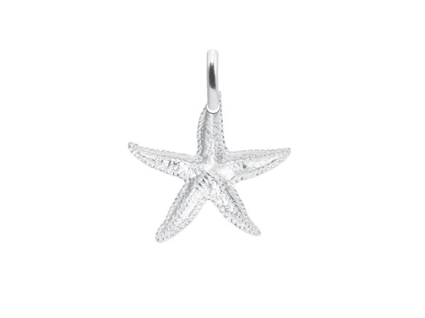 Pendentif étoile de mer en acier inoxydable argenté