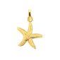 Pendentif étoile de mer en acier inoxydable doré