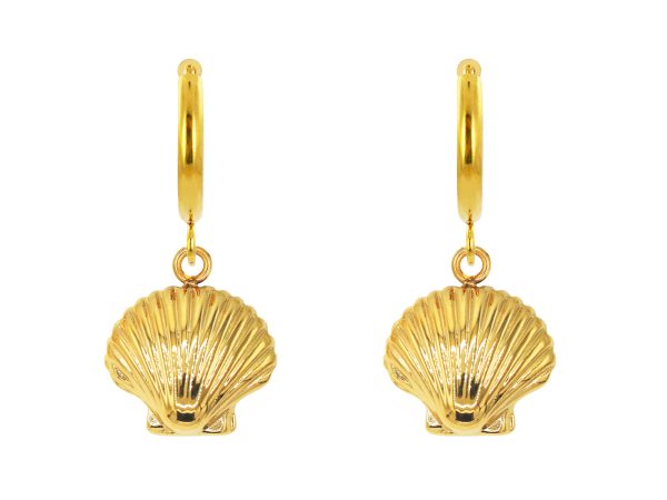 Créoles coquillage en acier inoxydable doré