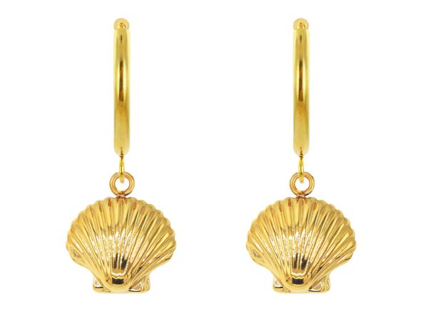 Créoles coquillage en acier inoxydable doré