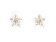 Boucles d'oreilles fleur oxydes de zirconium blancs en acier inoxydable doré
