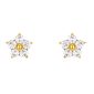 Boucles d'oreilles fleur oxydes de zirconium blancs en acier inoxydable doré
