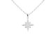 Collier étoile polaire oxydes de zirconium blancs en acier inoxydable argenté