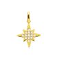 Pendentif étoile polaire oxydes de zirconium blancs en acier inoxydable doré